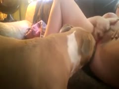 Mature bitch rubs her cunt and makes her dog explore and lick her pussy 